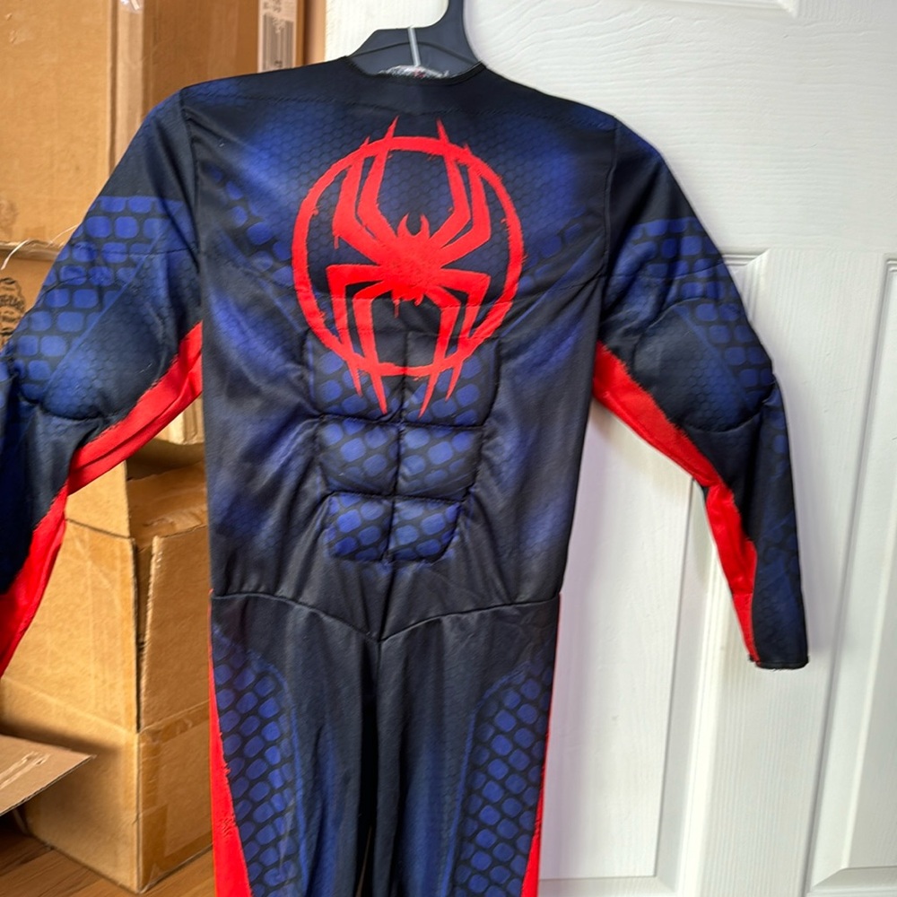 Youth Spider-Man Spider Verse costume